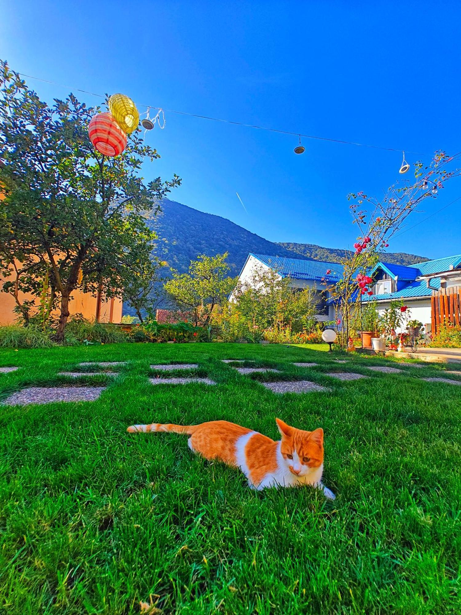 Apartmán Casa Miclau Băile Herculane Exteriér fotografie