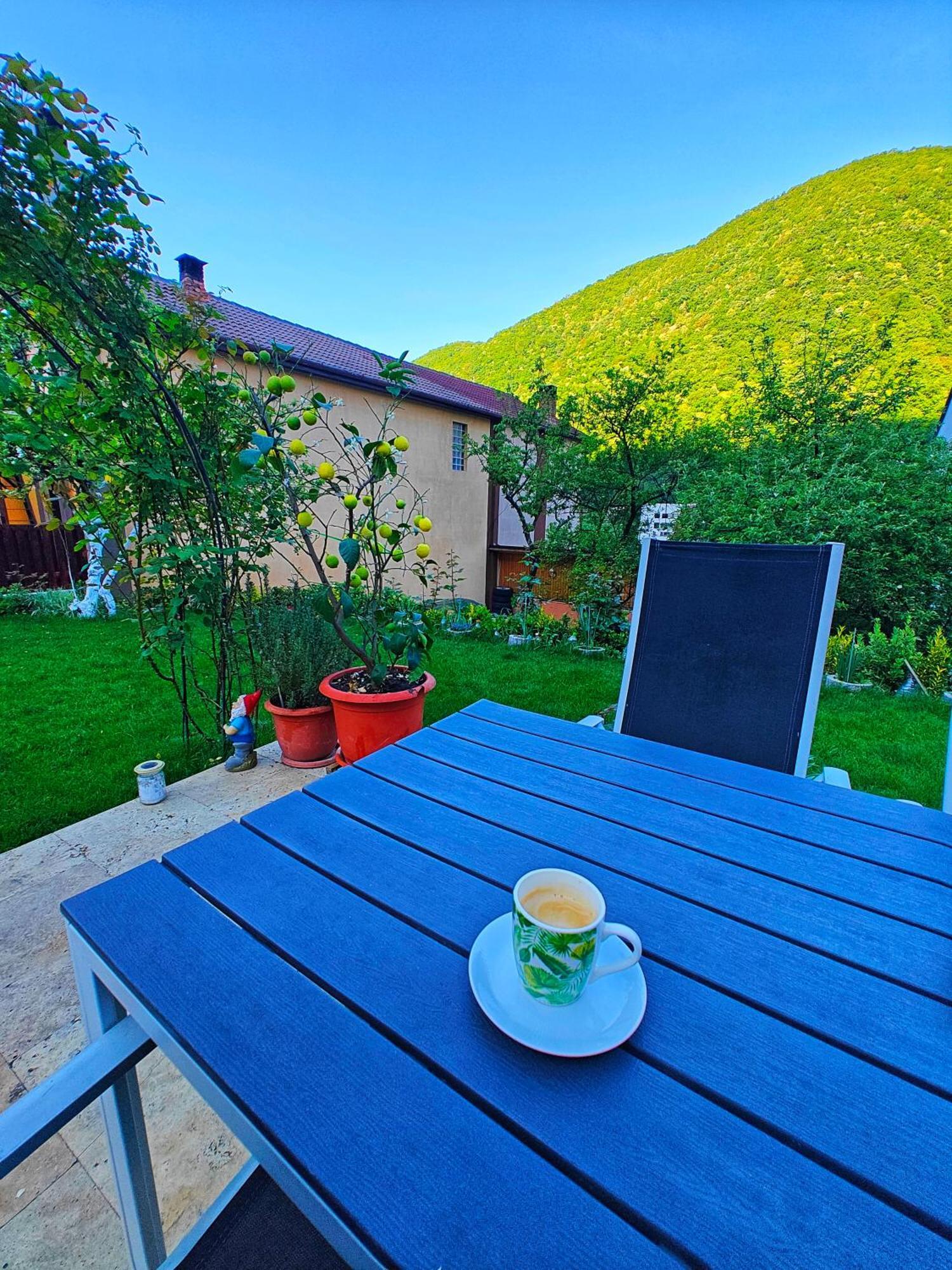 Apartmán Casa Miclau Băile Herculane Exteriér fotografie