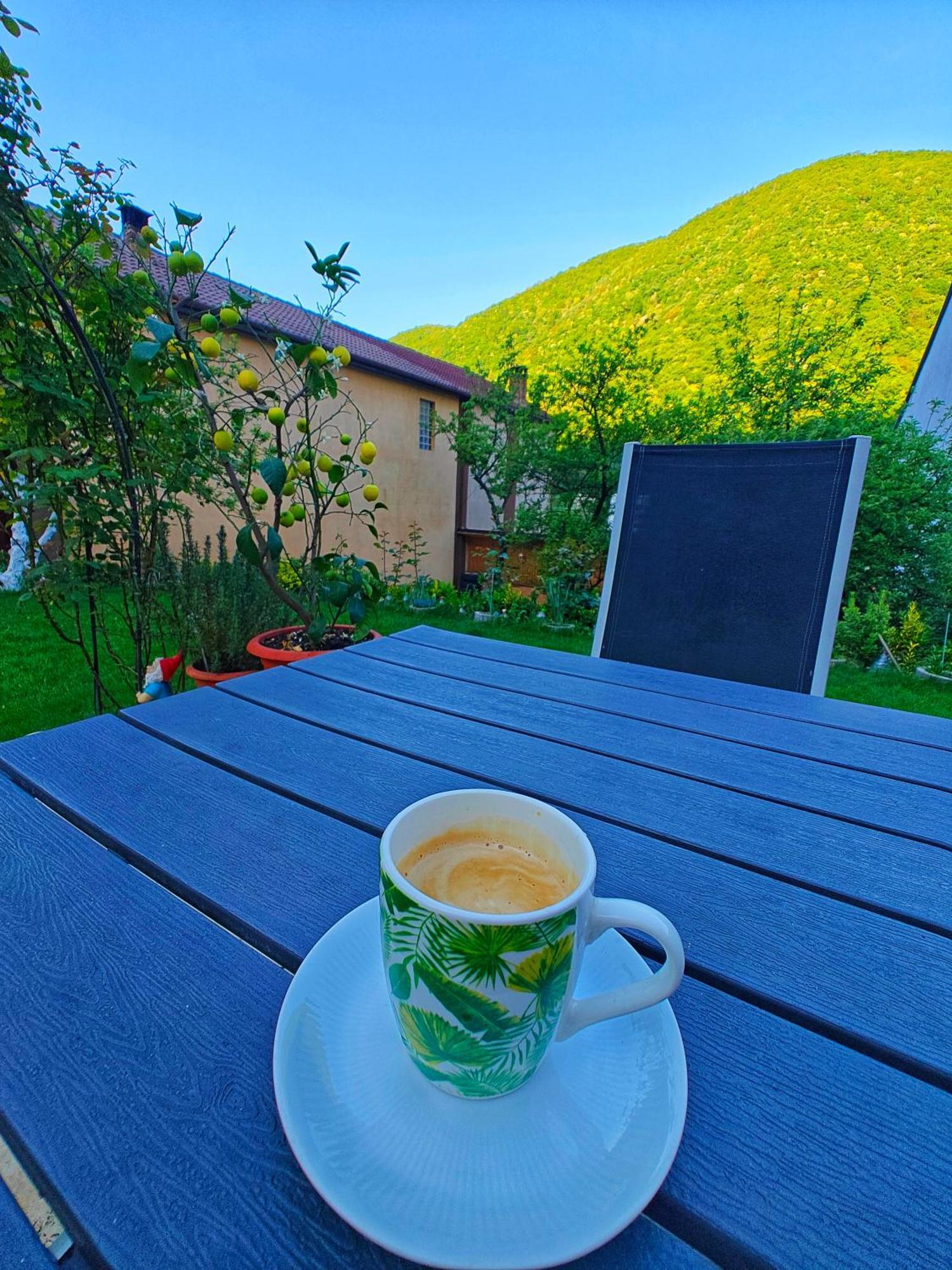 Apartmán Casa Miclau Băile Herculane Exteriér fotografie