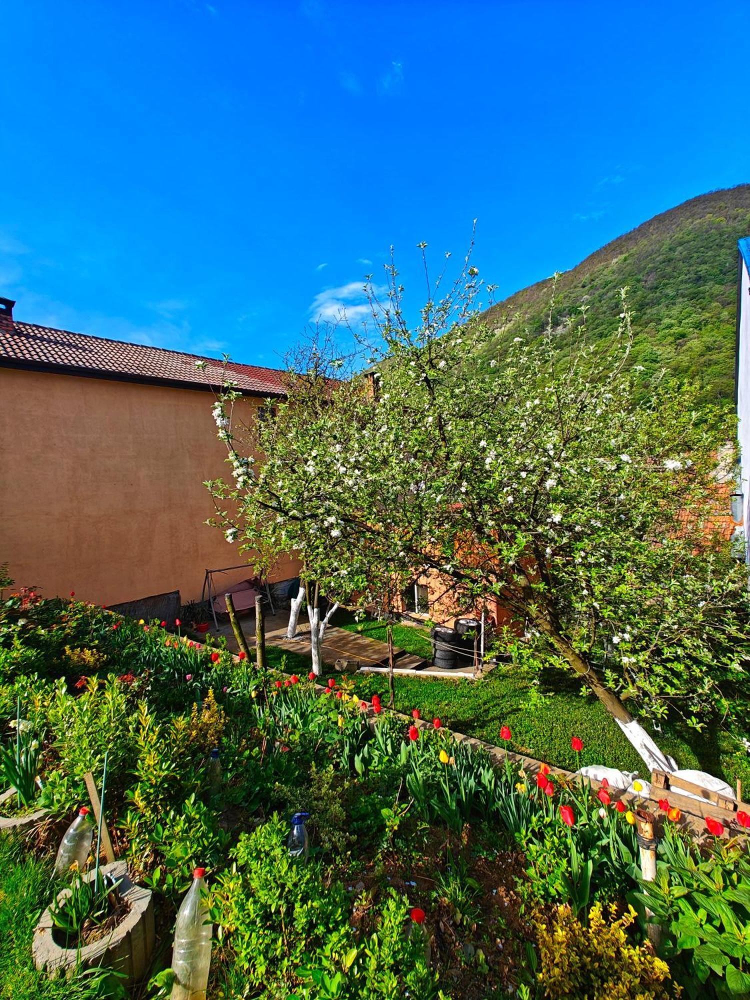 Apartmán Casa Miclau Băile Herculane Exteriér fotografie
