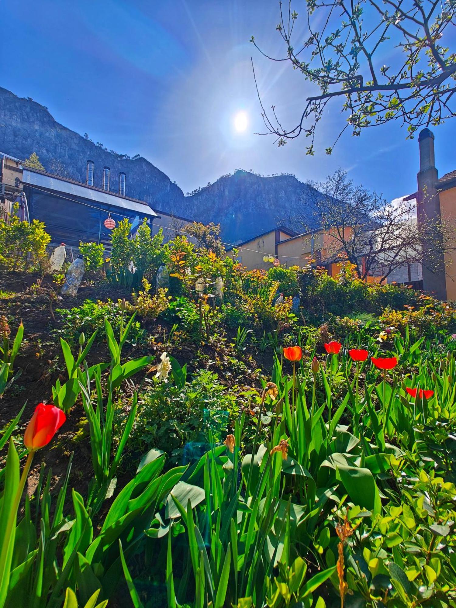 Apartmán Casa Miclau Băile Herculane Exteriér fotografie