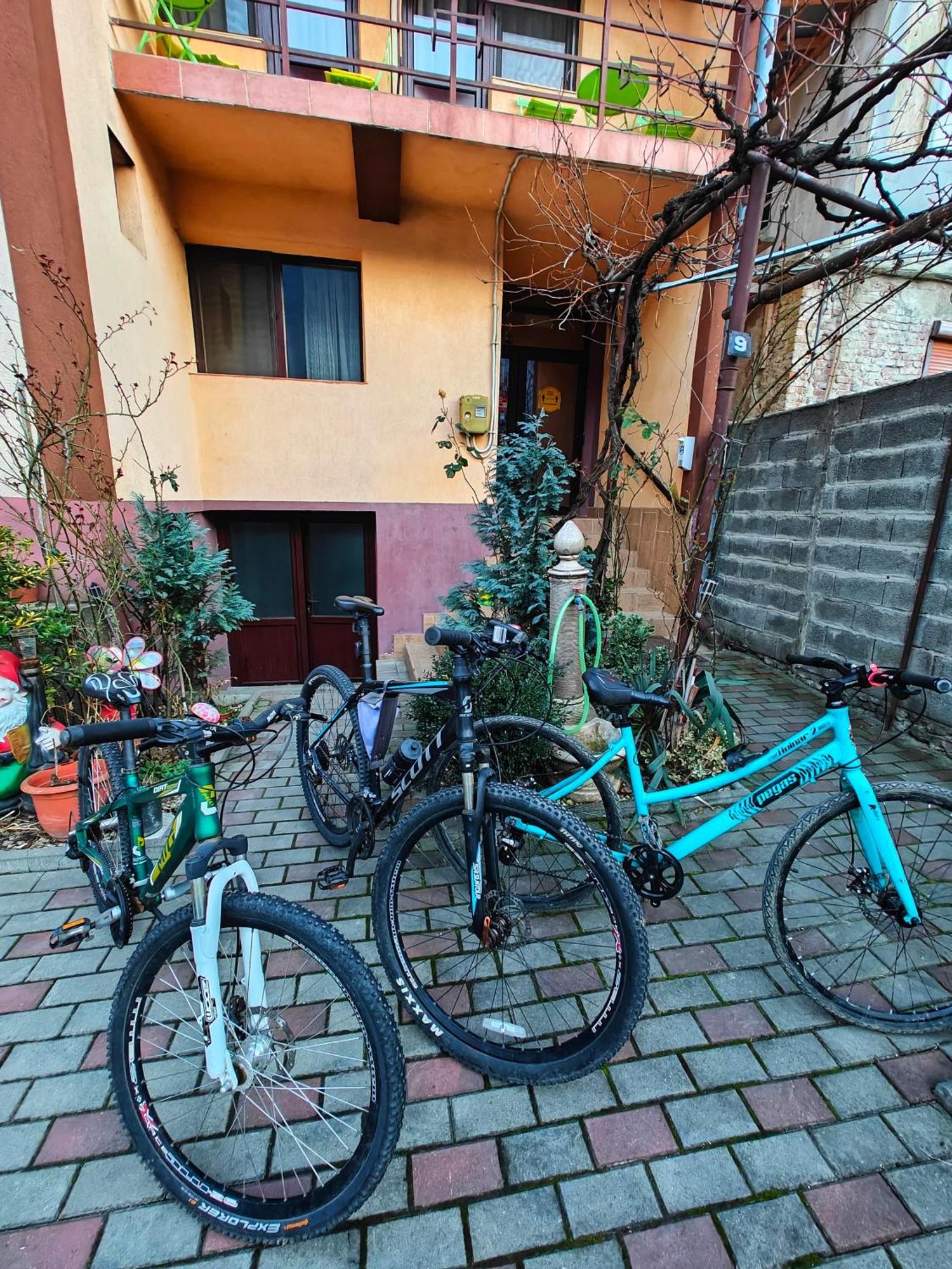 Apartmán Casa Miclau Băile Herculane Exteriér fotografie