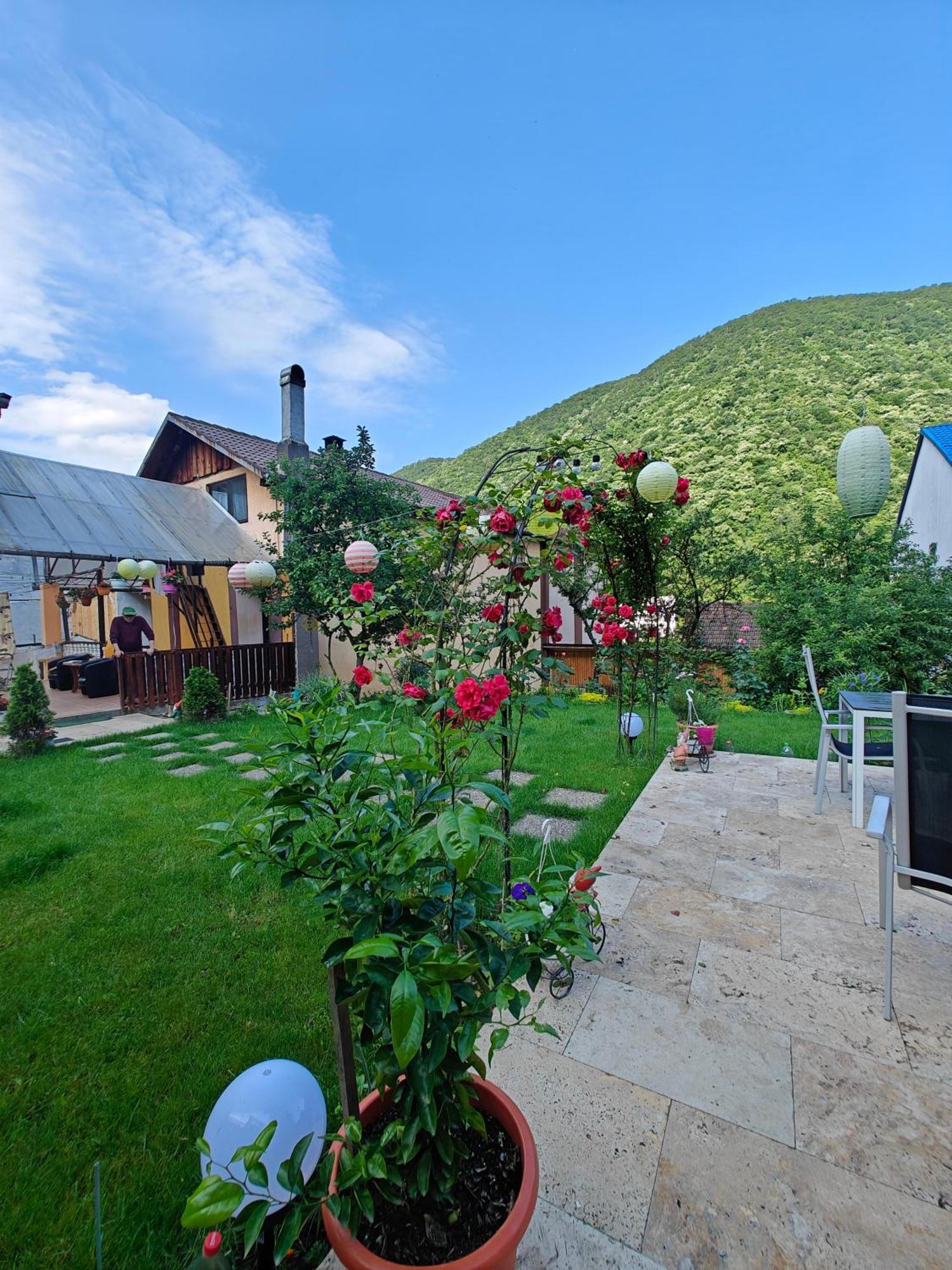Apartmán Casa Miclau Băile Herculane Exteriér fotografie